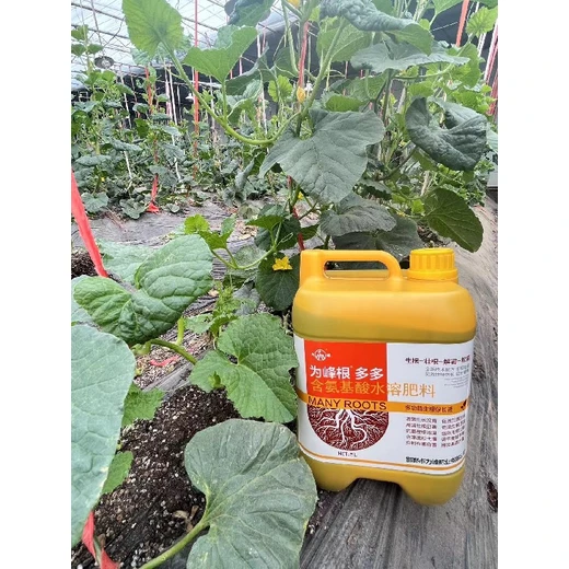 生根快且根群大毛細(xì)縱橫吸肥足?根多多廠家