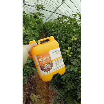 速促毛細根萌發(fā)根群繁茂扎土深?為峰根多多