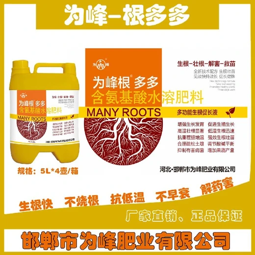 生根極速，根多根亦壯根多多正品