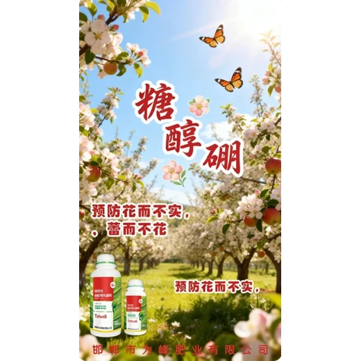 根葉雙渠道補硼全面無死角糖醇硼正品