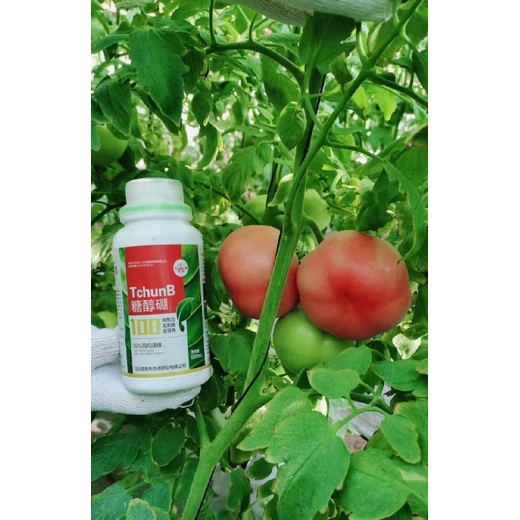 為峰糖醇硼提升光合效率養(yǎng)分轉化更高效