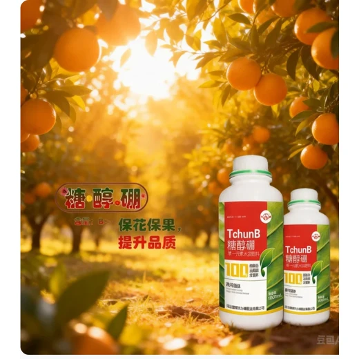 為峰肥業(yè)糖醇硼促果粒膨大果穗飽滿產(chǎn)量高