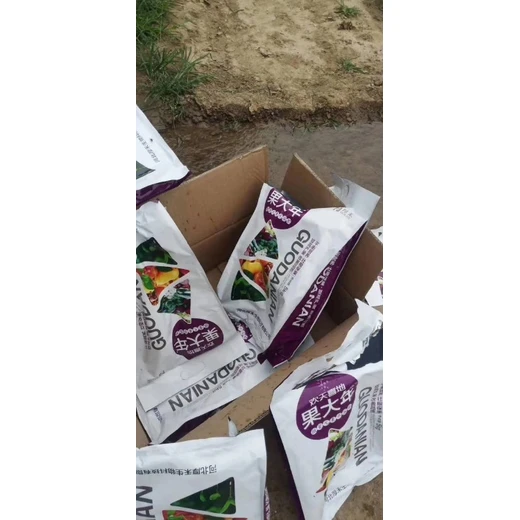 促根壯株提授粉保果靚果果味佳歡天喜地果大年