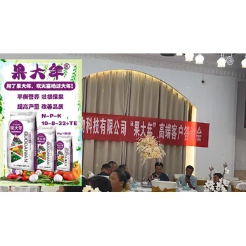 歡天喜地果大年價格壯苗授粉防落果膨果美果品相佳