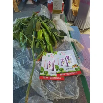 歡天喜地果大年價格壯苗授粉防落果膨果美果品相佳