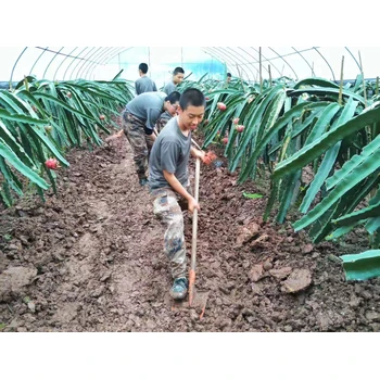 正規(guī)軍事化管理學(xué)校：為青少年成長(zhǎng)保駕護(hù)航