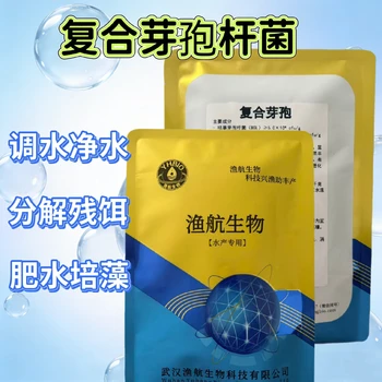 陰雨肥水氨基酸培藻肥漁航生物高磷培藻肥快速肥水水產(chǎn)養(yǎng)殖肥廠家