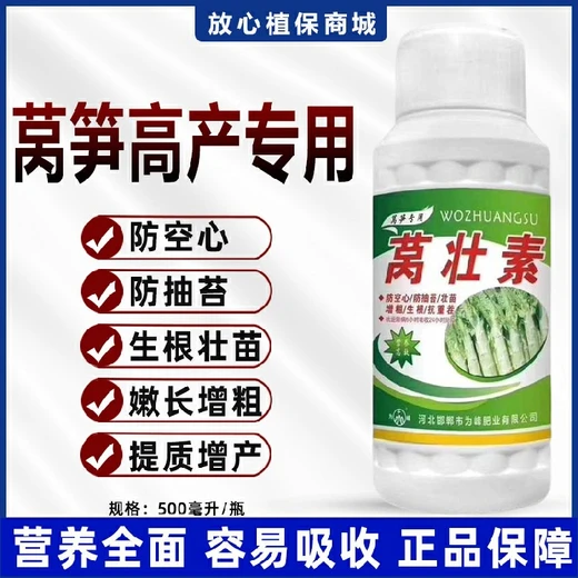 為峰萵壯素萵筍專用防抽苔護(hù)莖稈，脆嫩無空促膨大?