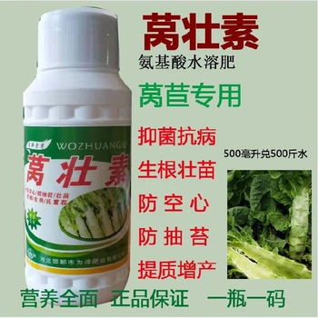 防抽苔護莖稈，膨大增粗脆又鮮?萵壯素萵筍