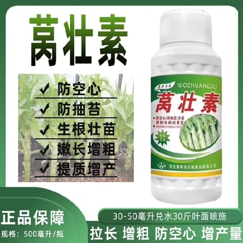 防抽苔護莖稈，膨大增粗脆又鮮?萵壯素萵筍