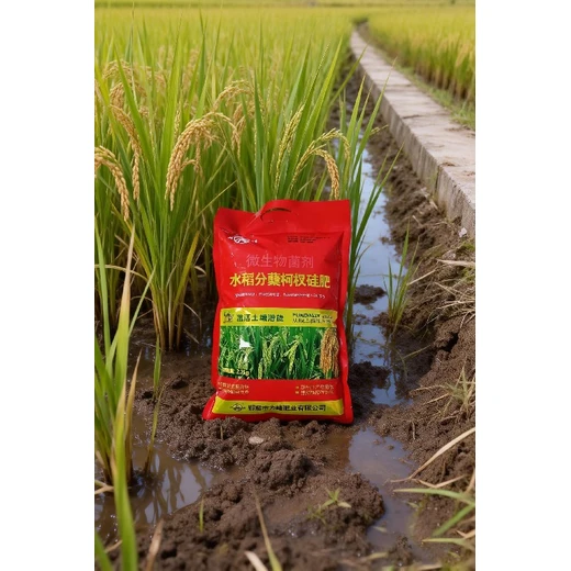 硅化細(xì)胞強(qiáng)株體抗蟲抗倒分蘗旺?水稻分蘗柯杈硅肥價(jià)格