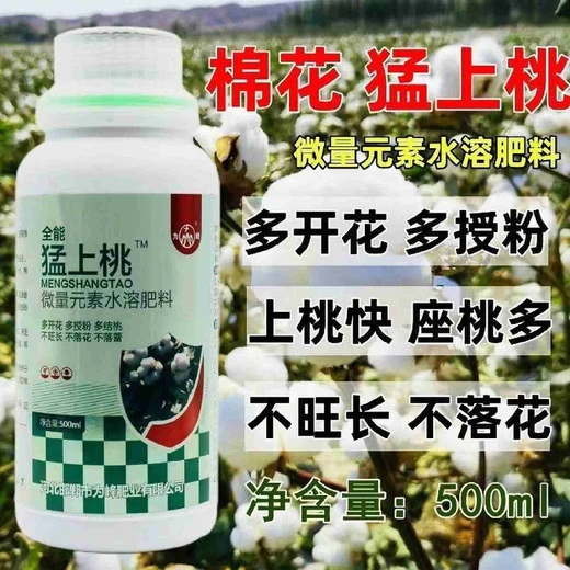 控旺長免去打頂塑形壯桃滿枝頭為峰肥業(yè)猛上桃