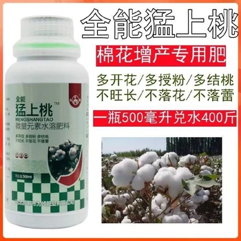 膨桃防落免打頂控旺整枝產(chǎn)量高?為峰猛上桃