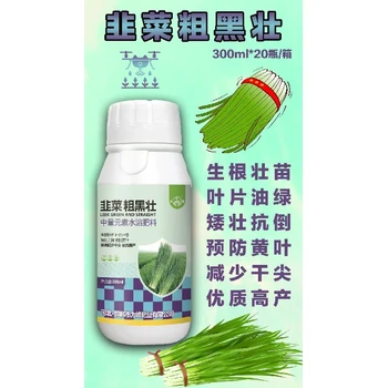 防干尖黃葉，稈壯葉綠抗倒伏?韭菜粗黑壯