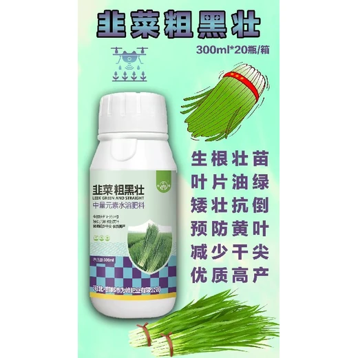 韭菜粗黑壯怎么購買韭菜防黃促黑，豐產(chǎn)提質(zhì)增效?