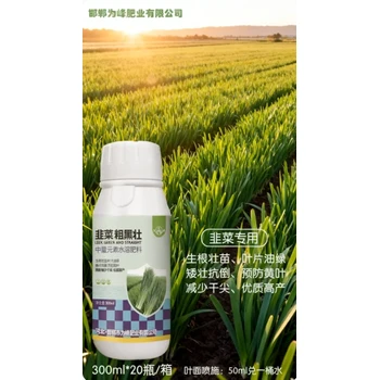 為峰韭菜粗黑壯代理濃黑韭菜苗，提質(zhì)增產(chǎn)防干尖?