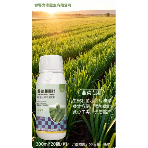 韭菜粗黑壯代理葉面噴施，韭菜濃黑健壯高產(chǎn)?