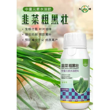 防干尖黃葉，稈壯葉綠抗倒伏?韭菜粗黑壯
