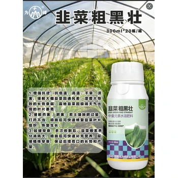 防干尖黃葉，稈壯葉綠抗倒伏?韭菜粗黑壯