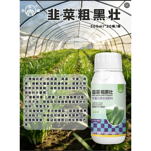 韭菜粗黑壯，防黃提質(zhì)穩(wěn)增收?韭菜粗黑壯正品