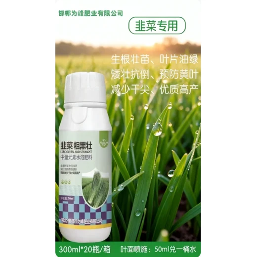 為峰肥業(yè)韭菜粗黑壯韭菜葉面肥壯株防黃促豐產(chǎn)