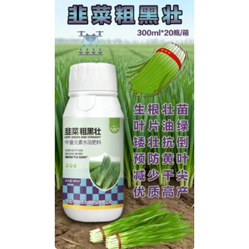 防干尖黃葉，稈壯葉綠抗倒伏?韭菜粗黑壯