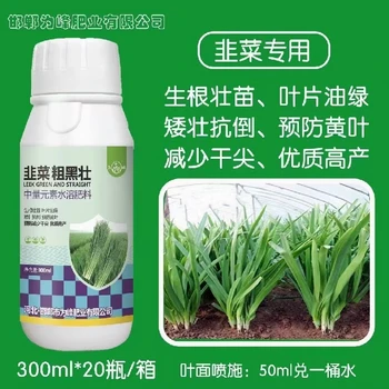 防干尖黃葉，稈壯葉綠抗倒伏?韭菜粗黑壯