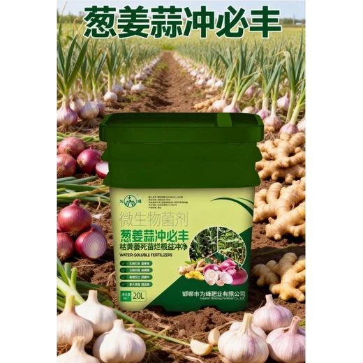強根綠葉防枯衰，膨大提質(zhì)賣蔥姜蒜沖必豐微生物菌劑