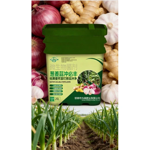 為峰蔥姜蒜沖必豐防黃防干護(hù)葉片，鱗莖飽滿(mǎn)不空心