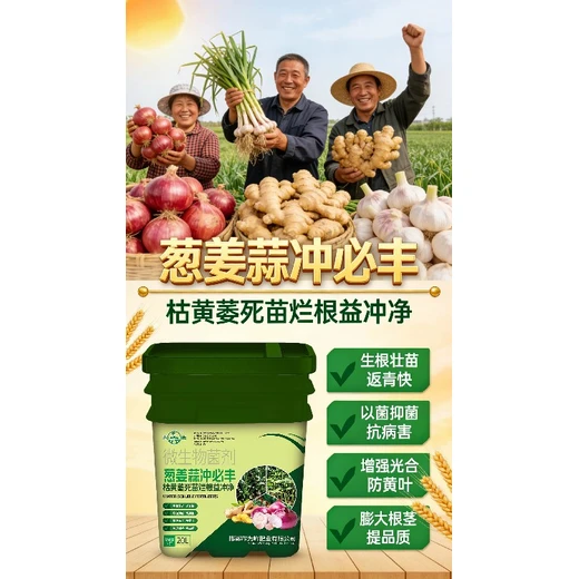 防尖防黃葉色正，膨莖防空品質(zhì)佳蔥姜蒜沖必豐正品