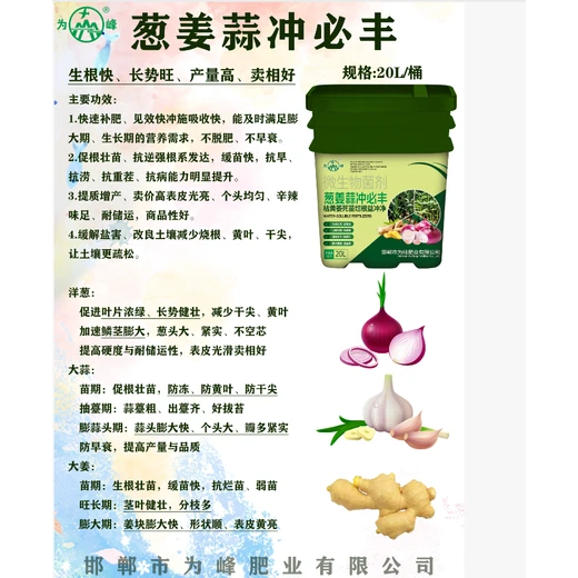 蔥姜蒜沖必豐水溶肥壯根抗病防黃萎，膨大增產(chǎn)收益高