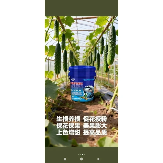 調(diào)理土壤，優(yōu)化作物生長(zhǎng)環(huán)境?海藻多肽魚蛋白怎么購(gòu)買