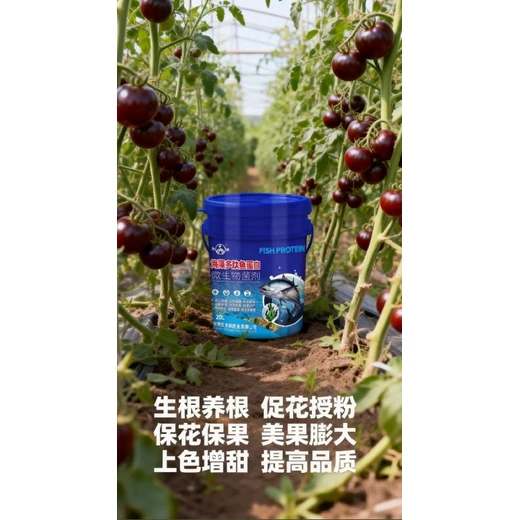 改良土壤板結(jié)，激活土壤活力?海藻多肽魚蛋白廠家