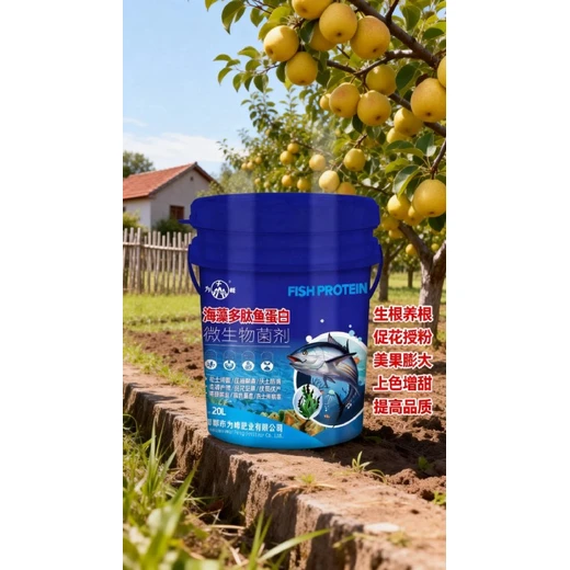 促進(jìn)花芽分化，提高坐果保果?海藻多肽魚蛋白正品
