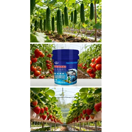 助力有機種植，提升產(chǎn)品價值?海藻多肽魚蛋白怎么購買