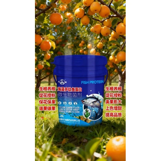 果實膨大，增加單果重量收益?海藻多肽魚蛋白