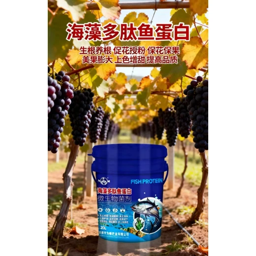 膨大勻整，提升果實(shí)商品價(jià)值?海藻多肽魚蛋白代理