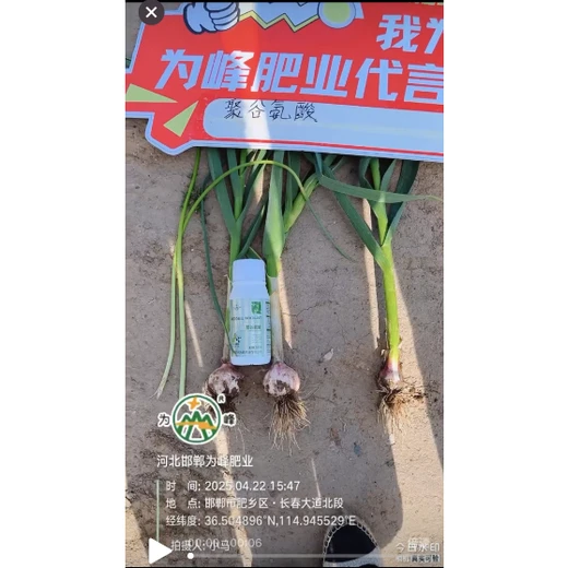 促根壯苗，加快作物緩苗速度?聚谷氨酸代理