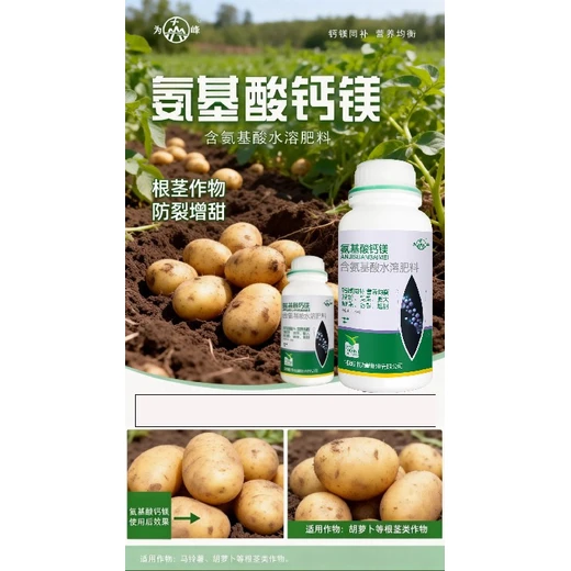 ?；ü鼓婢?，幼果發(fā)育快又穩(wěn)為峰肥業(yè)氨基酸鈣鎂