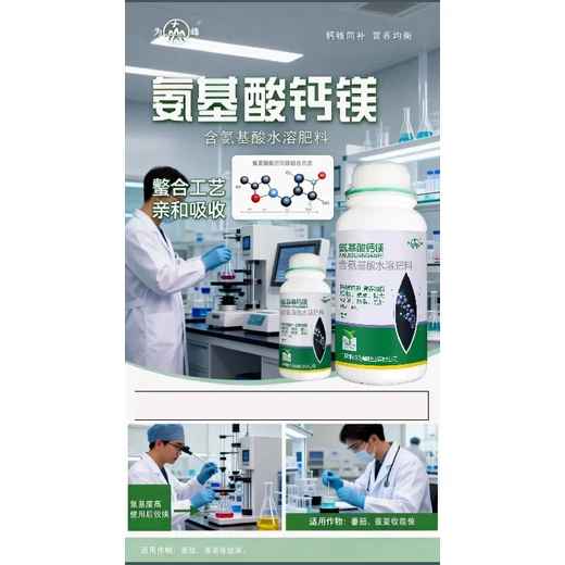 氨基酸鈣鎂代理補(bǔ)鎂護(hù)葉，蔬菜光合效率大提升