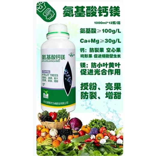 氨基酸鈣鎂代理提升脆度，葉菜脆嫩耐儲不易爛
