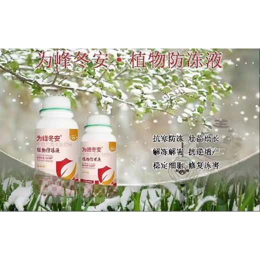 為峰冬安植物防凍液,降低冰點(diǎn)筑屏障，激活基因強(qiáng)自愈