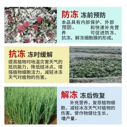 為峰冬安效果好,冰點下降細胞穩(wěn)，基因激活根葉壯