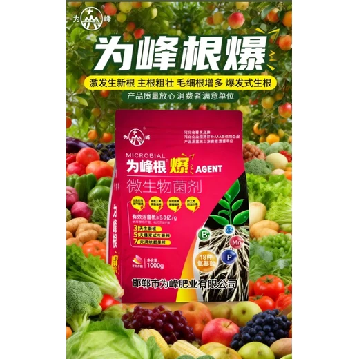 為峰根爆,護(hù)根防爛根，根系健康持久