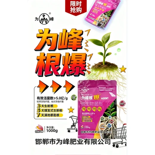 為峰根爆價格,爆發(fā)生新根，壯粗主根系?