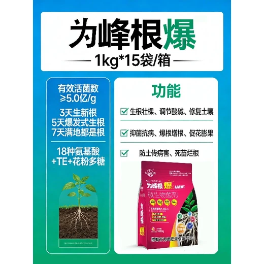 為峰根爆速生根,爆發(fā)生根抗低溫主根粗壯長勢穩(wěn)?