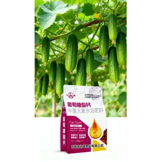 葡萄糖酸鈣廠家,提升抗旱能力，適應干旱環(huán)境