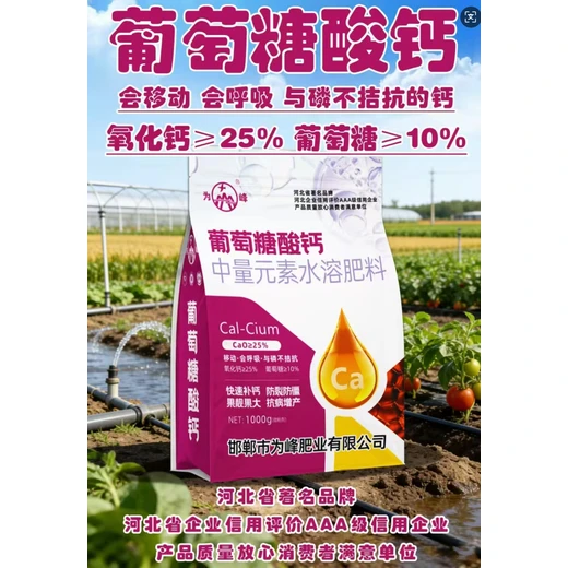葡萄糖酸鈣廠家,能延長果蔬貯藏保鮮運(yùn)輸時間