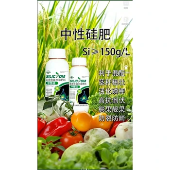 為峰肥業(yè)中性硅,強(qiáng)化抗倒性能硅化細(xì)胞筑牢根基,中性硅批發(fā)