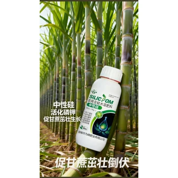 為峰肥業(yè)中性硅,抗病抗倒雙強硅化細胞助果靚美?,中性硅效果好